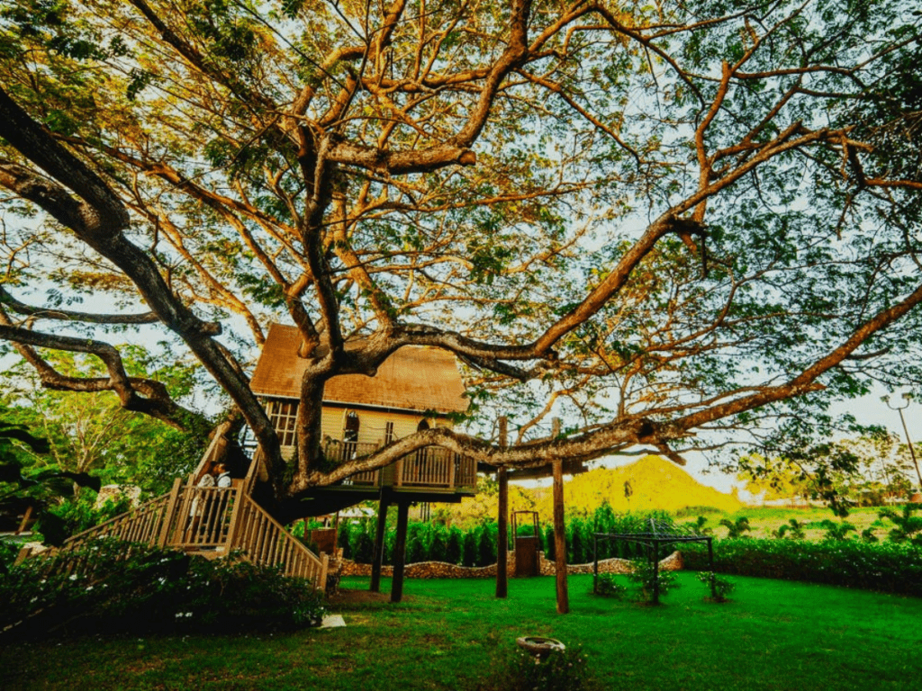 Tree Houses in Asia