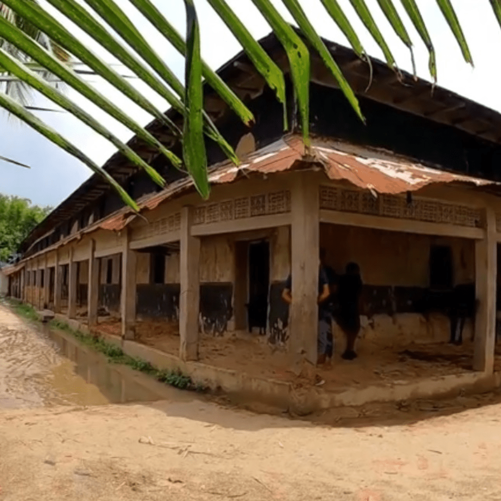 Largest Mud House in Bangladesh