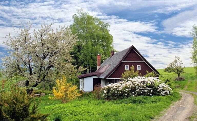 House Types in America